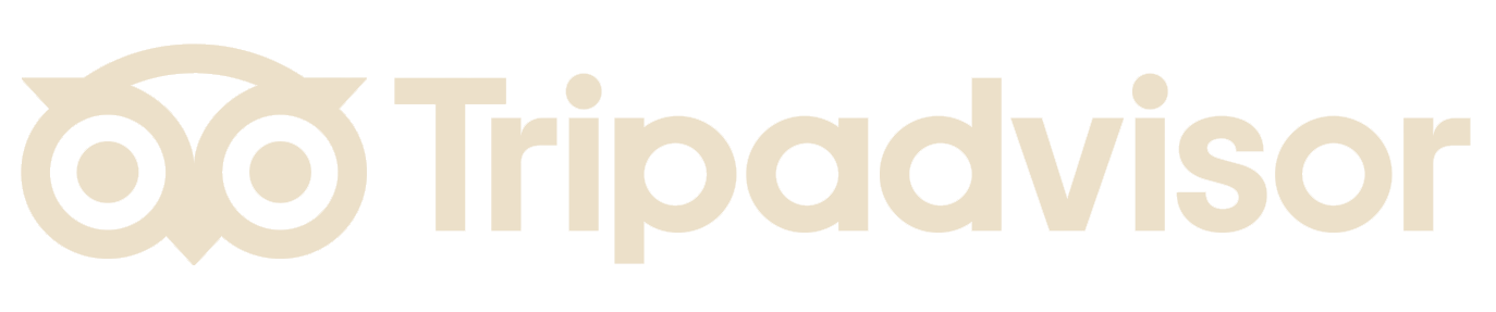 Trip Advisor Review
