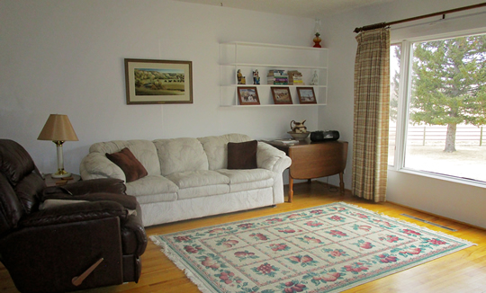 Living Room View